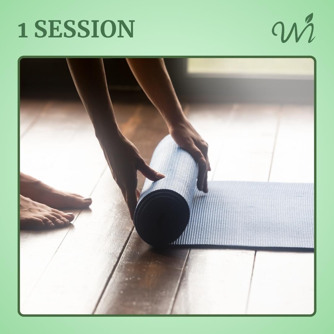 1 Session