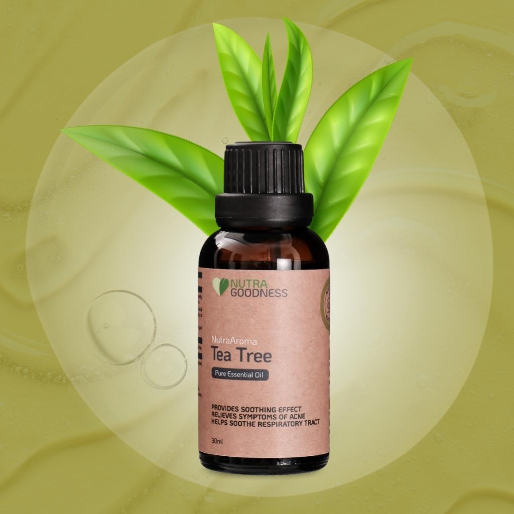 Tea Tree + Diffuser